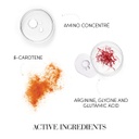 Medavita Travel Box B-Refibre + Easy Tangle Brush