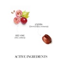 Medavita Curladdict Permanent Perming Hair Fluid