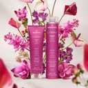Medavita Luxviva Silver Anti-yellow Shampoo