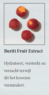 buriti.webp