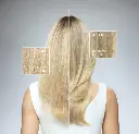 pre shampoo8.webp