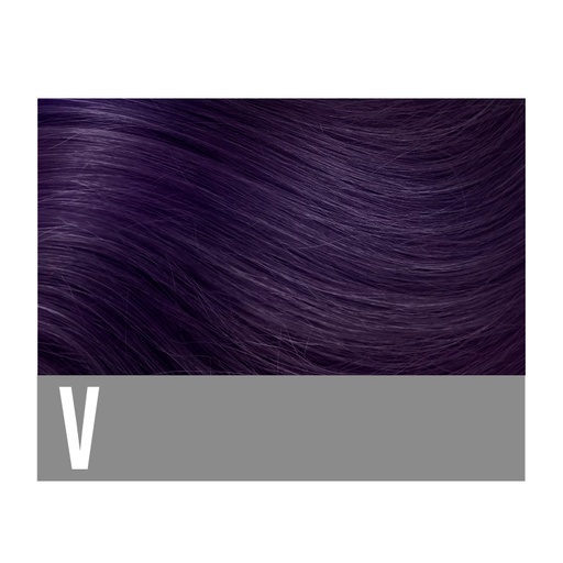 [CCV] Aloxxi Chroma Gem Violet